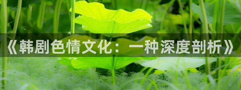 漫蛙漫画在线观看免费版完整：《韩剧色情文化：一种深度剖析》