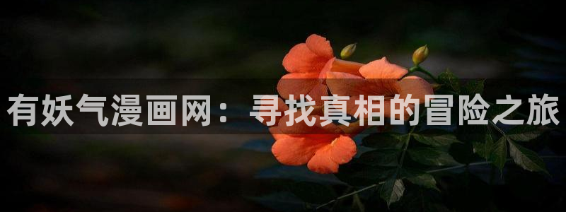 白日梦我漫蛙漫画：有妖气漫画网：寻找真相的冒险之旅