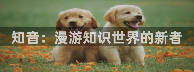 漫蛙正版漫画下载：知音：漫游知识世界的新者