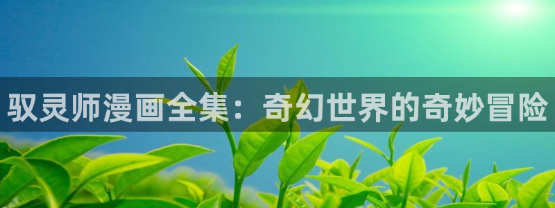 蛙趣漫画旧版本：驭灵师漫画全集：奇幻世界的奇妙冒险