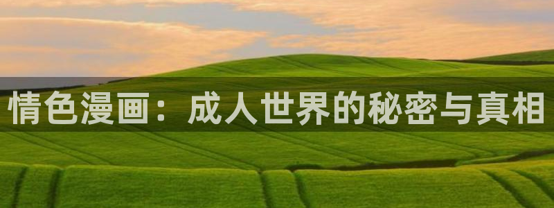 恶人想要抢救一下漫蛙：情色漫画：成人世界的秘密与真相