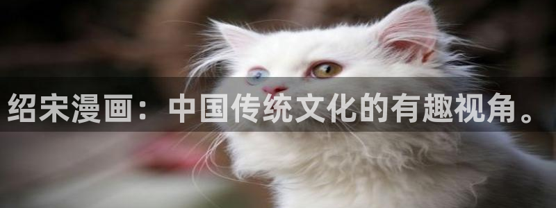 漫蛙官网下载ios：绍宋漫画：中国传统文化的有趣视角。